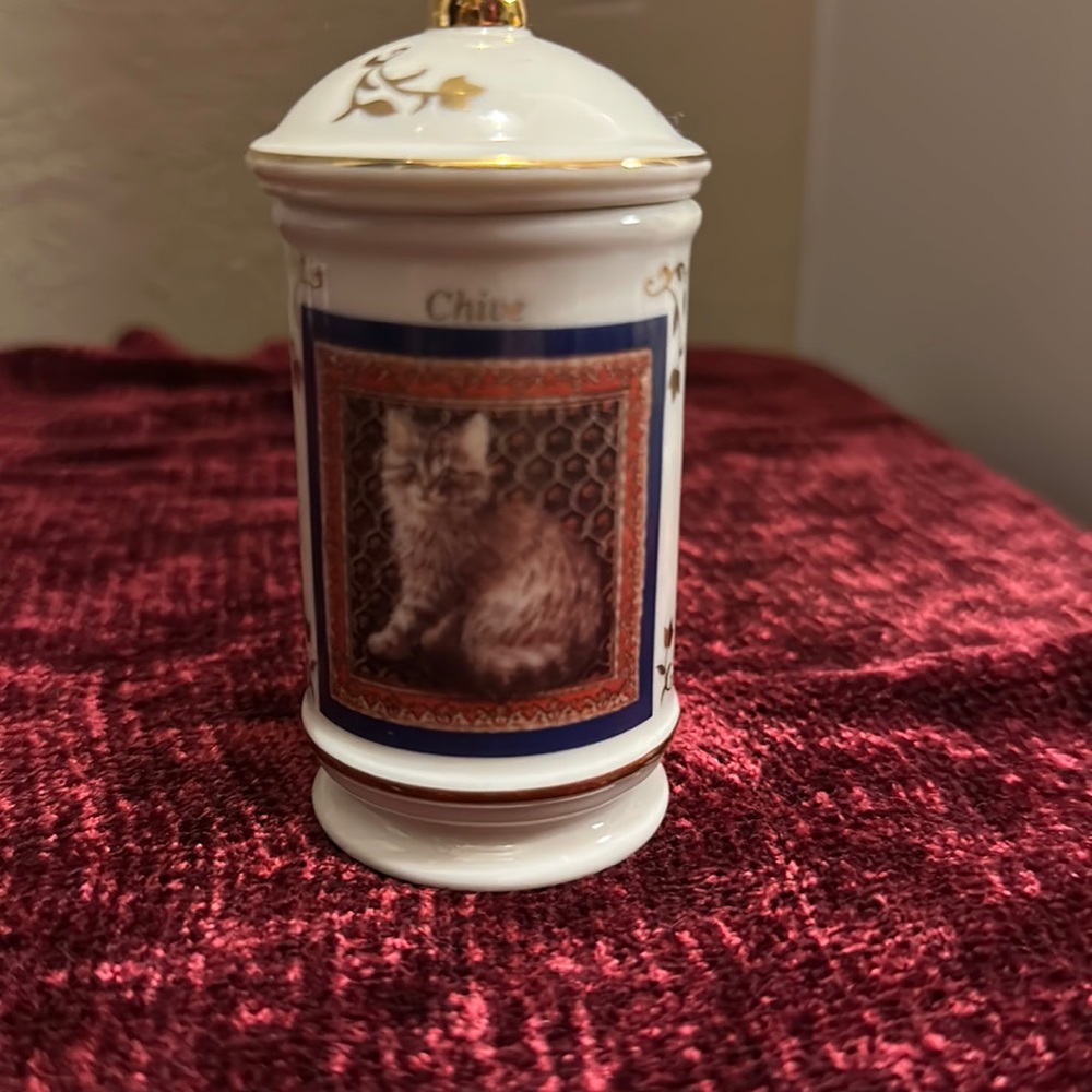The cats of distinction spice jar collection